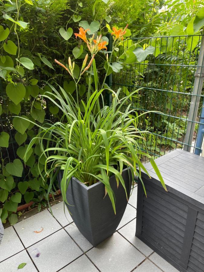 Sonnige Wohnung Im Zentrum Mit Terrasse U Tiefgarage - Netflix & Prime Leipzig Eksteriør billede